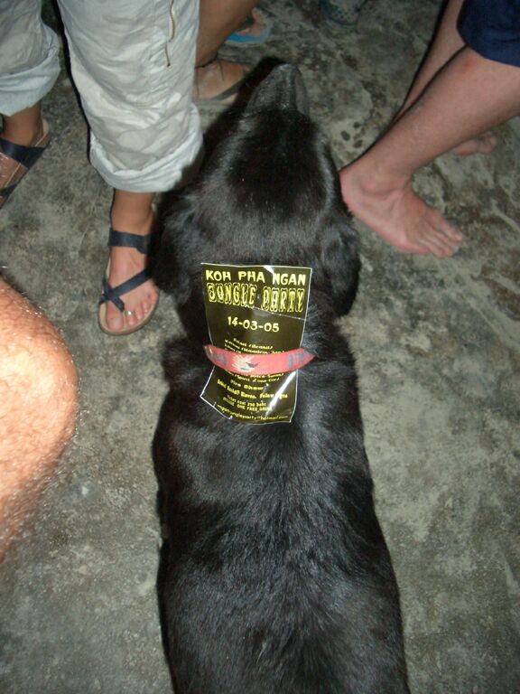 Click to See Next Image